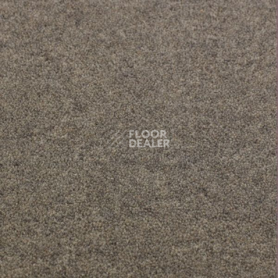 Ковролин Jacaranda Carpets Bilpar Steel Grey фото 1 | FLOORDEALER